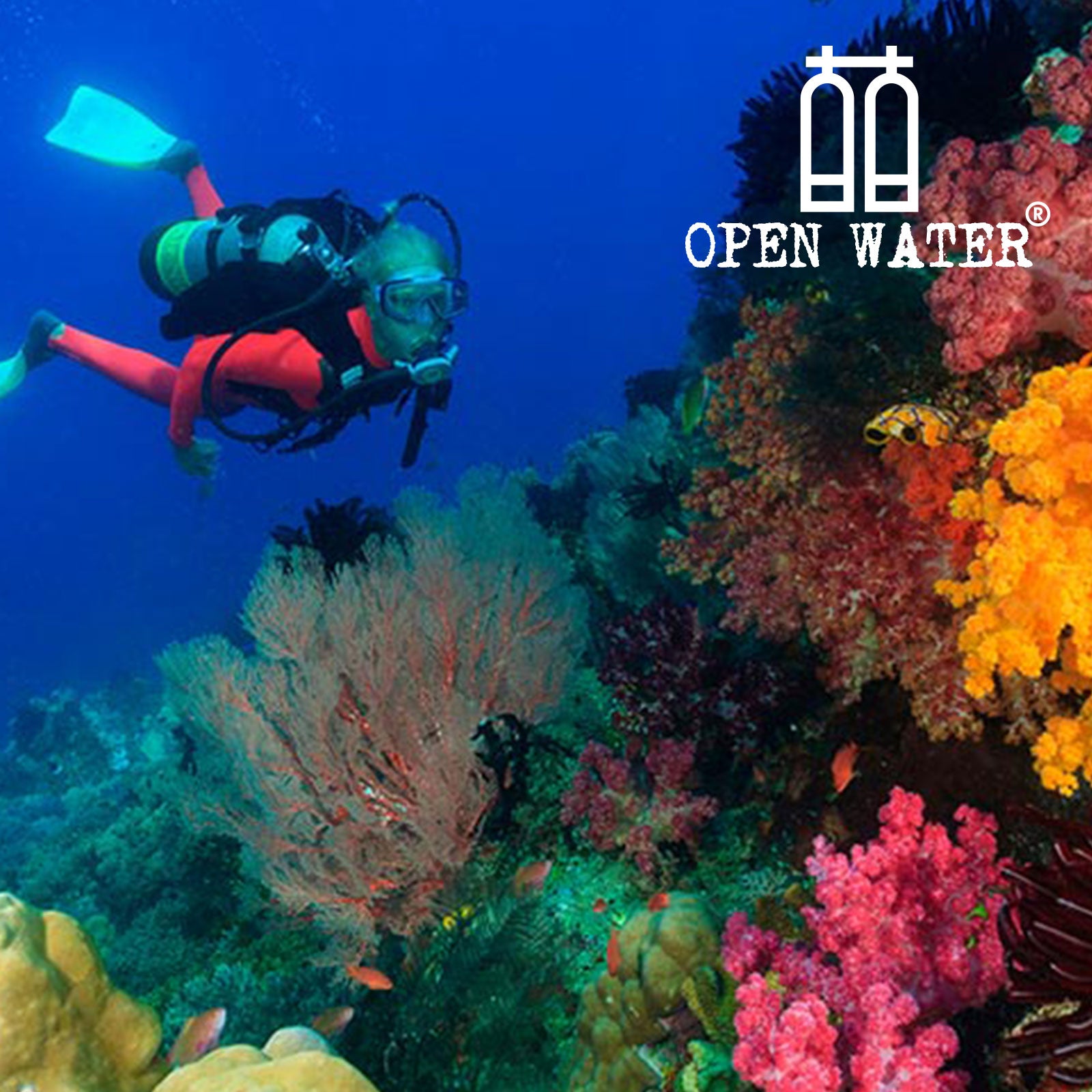 Scuba Diving - Open Water