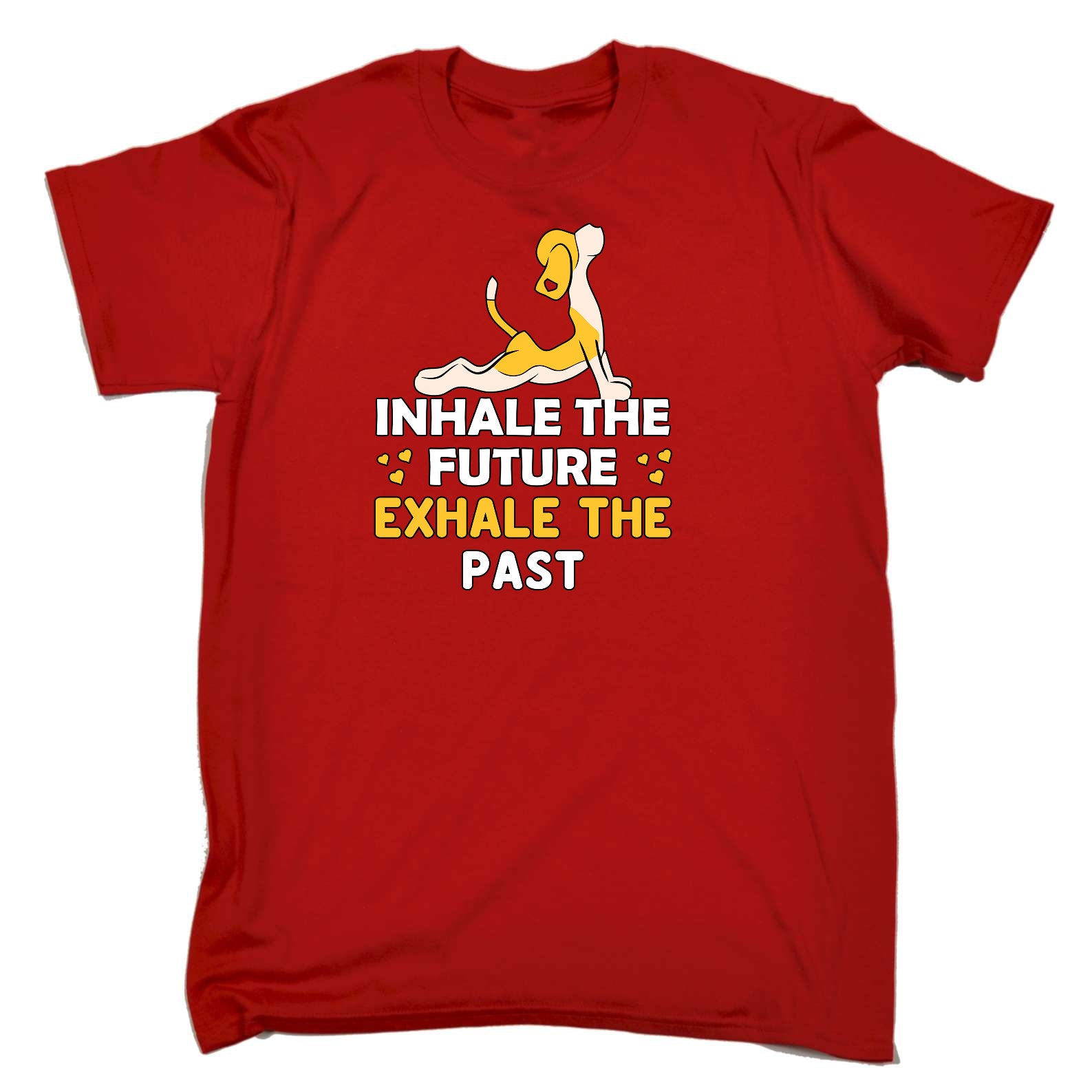 Inhale The Future Exhale The Past Yoga - Mens Funny T-Shirt Tshirts