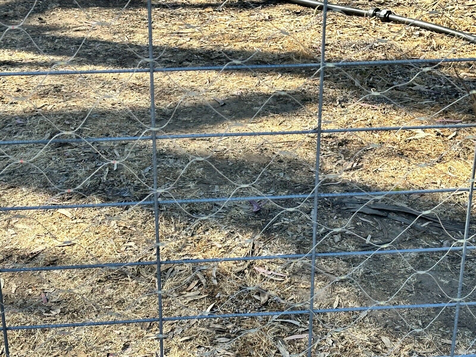 Large Australia Flag LED Australian Flags Day Oz Country Glow Outdoor Waterproof