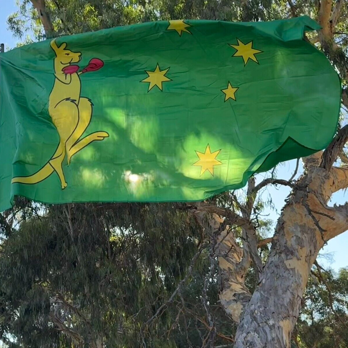 LARGE KANGAROO BOXING Australia Flag Flags Australian Ozzie Outdoor 5ft x 10ft