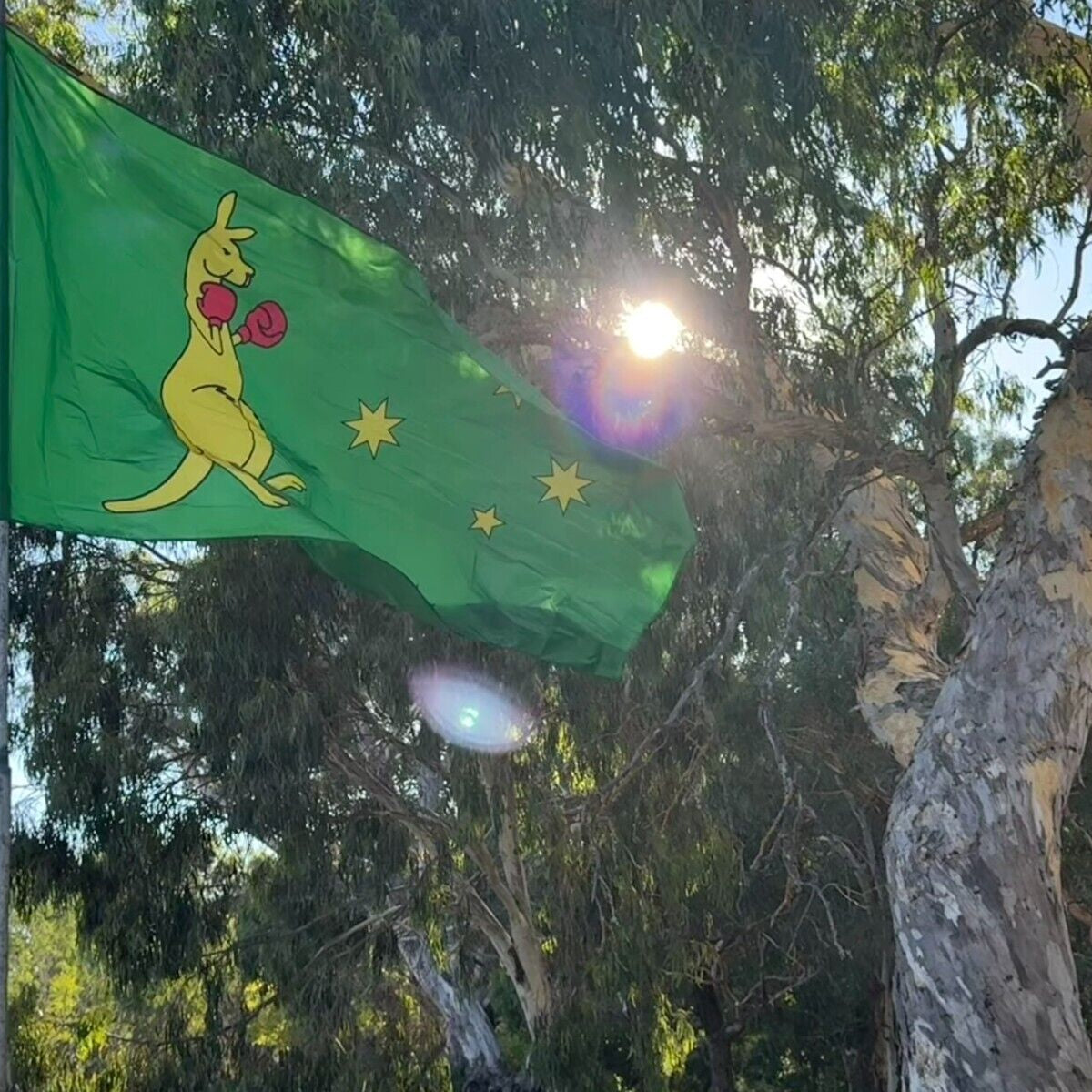 LARGE KANGAROO BOXING Australia Flag Flags Australian Ozzie Outdoor 5ft x 10ft