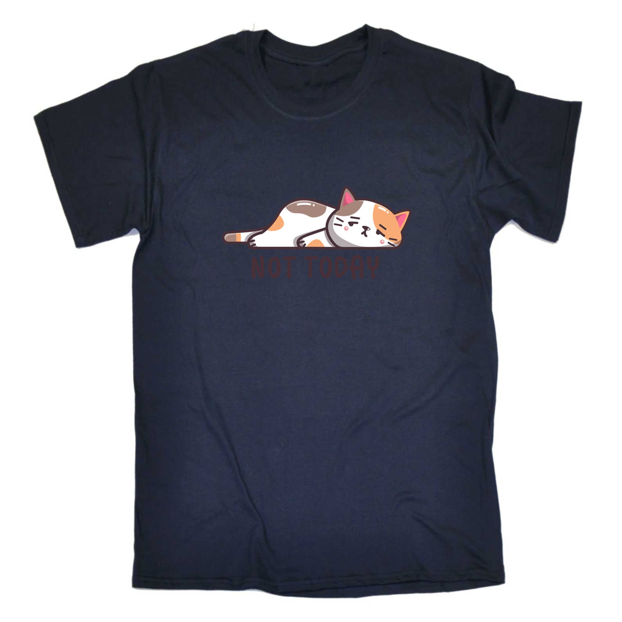 Not Today Sleeping Cat - Mens 123t Funny T-Shirt Tshirts