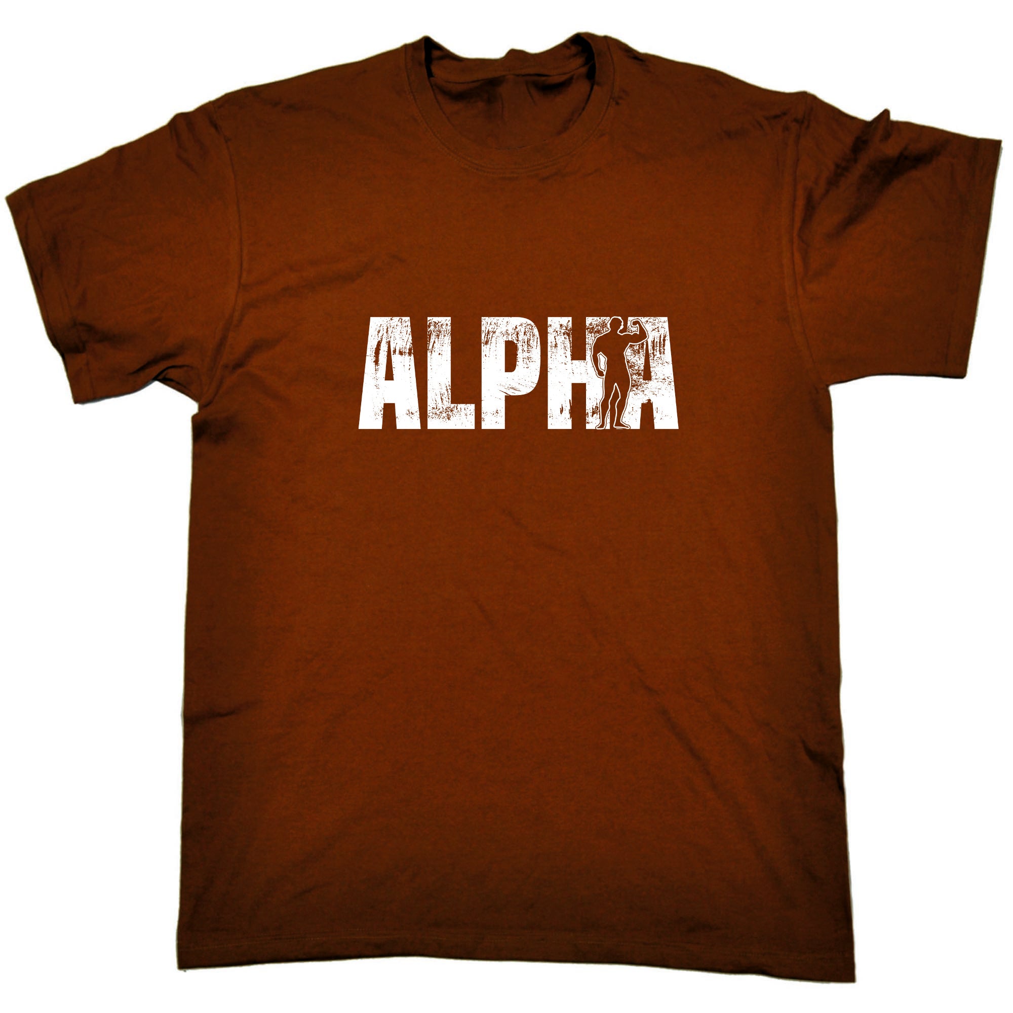 Alpha Gym Bodybuilding Weights - Mens Funny T-Shirt Tshirts