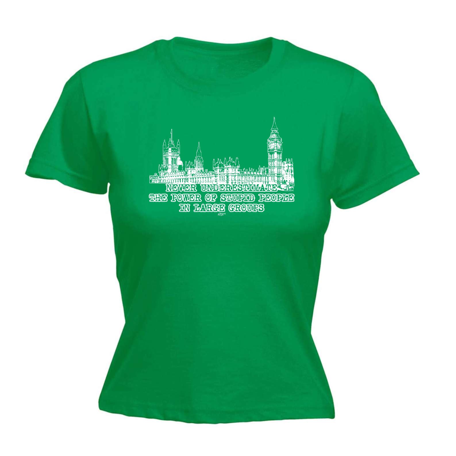 Never Understimate Stupid People In Large Groups - Funny Womens T-Shirt Tshirt