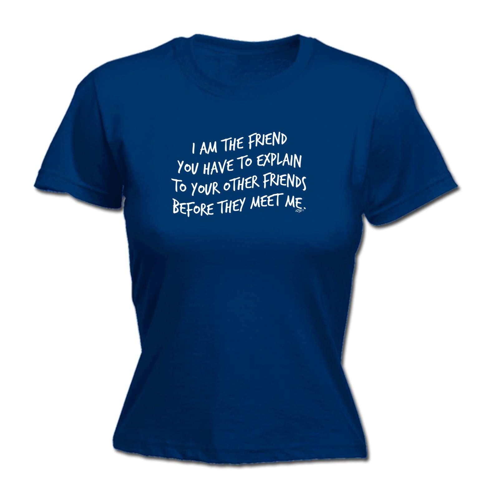 The Friend You Have To Explain - Funny Womens T-Shirt Tshirt