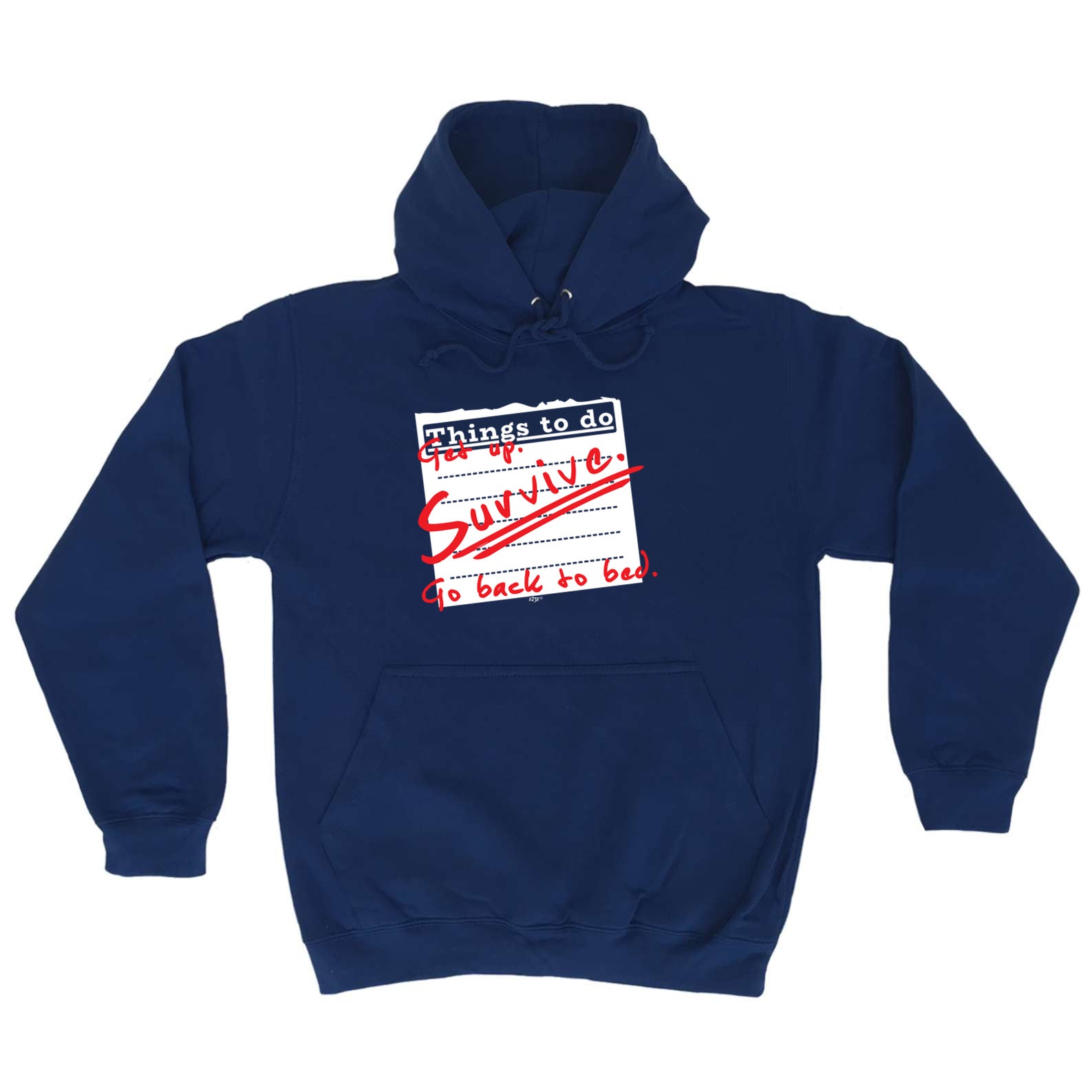 Thing To Do Get Up Survive Go Back To Bed - Funny Hoodies Hoodie