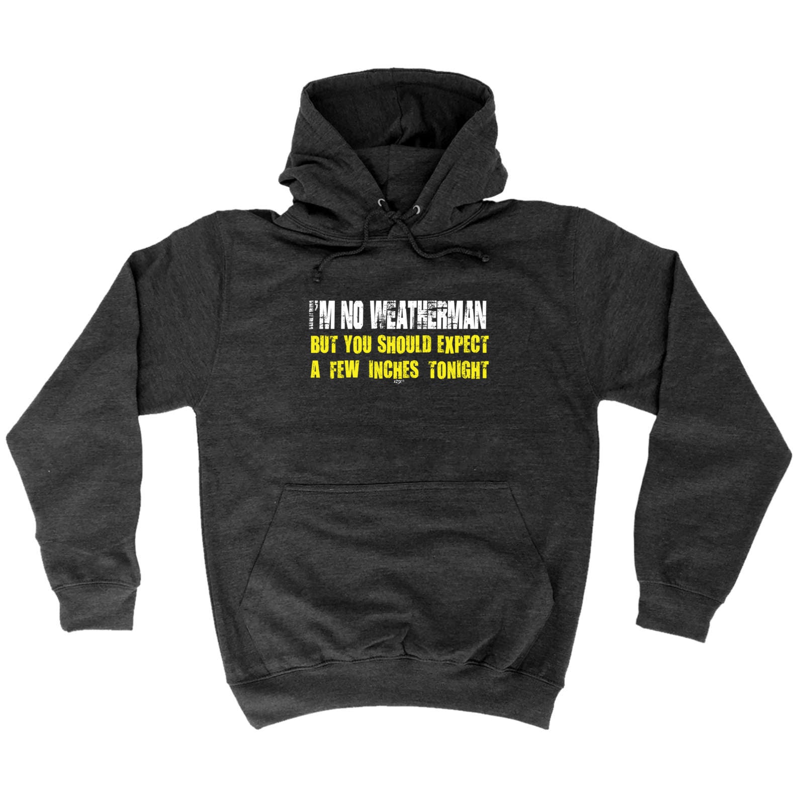 Im No Weatherman - Funny Hoodies Hoodie