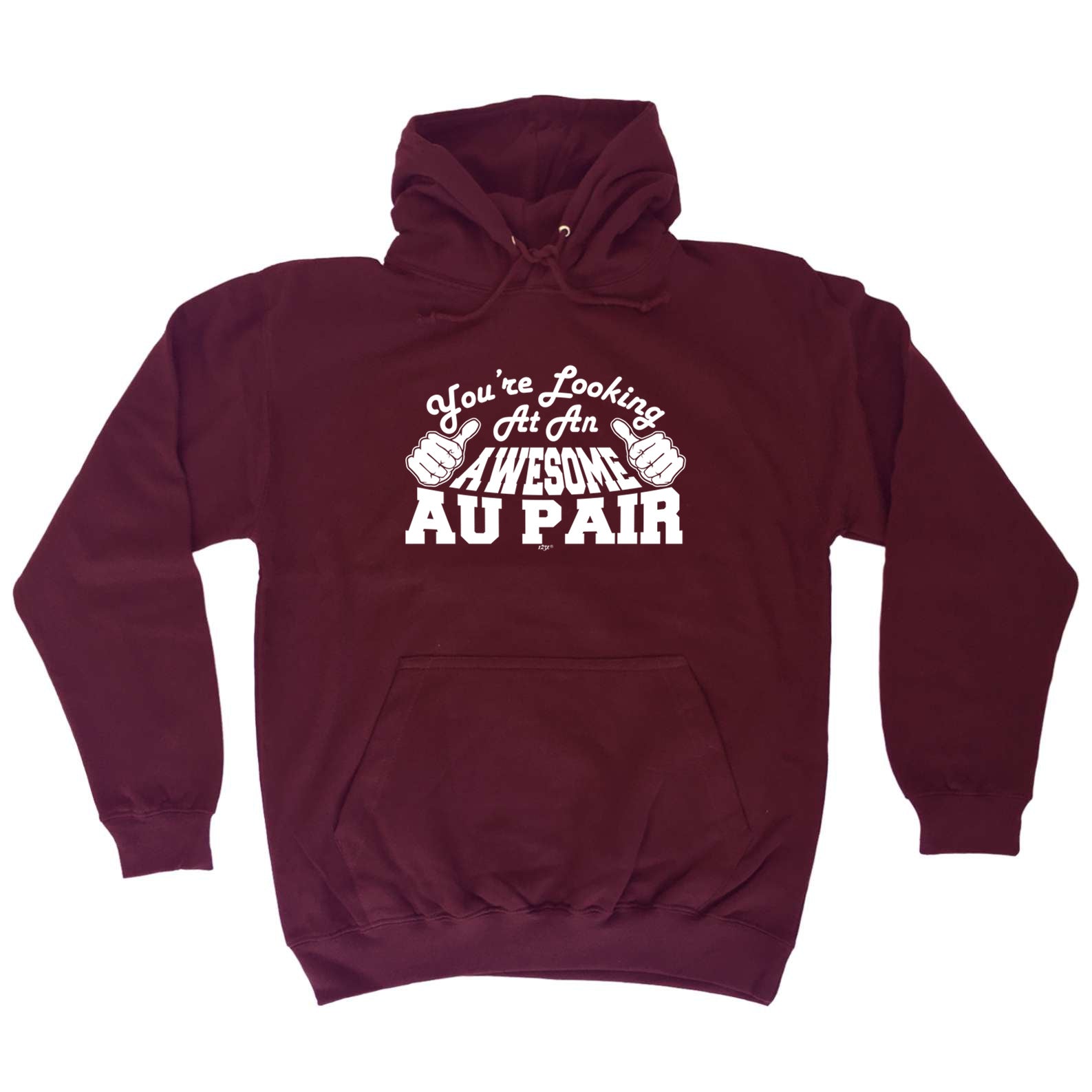 Youre Looking At An Awesome Au Pair - Funny Hoodies Hoodie