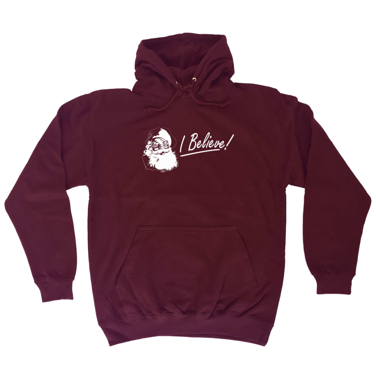 Believe Santa Christmas - Funny Hoodies Hoodie