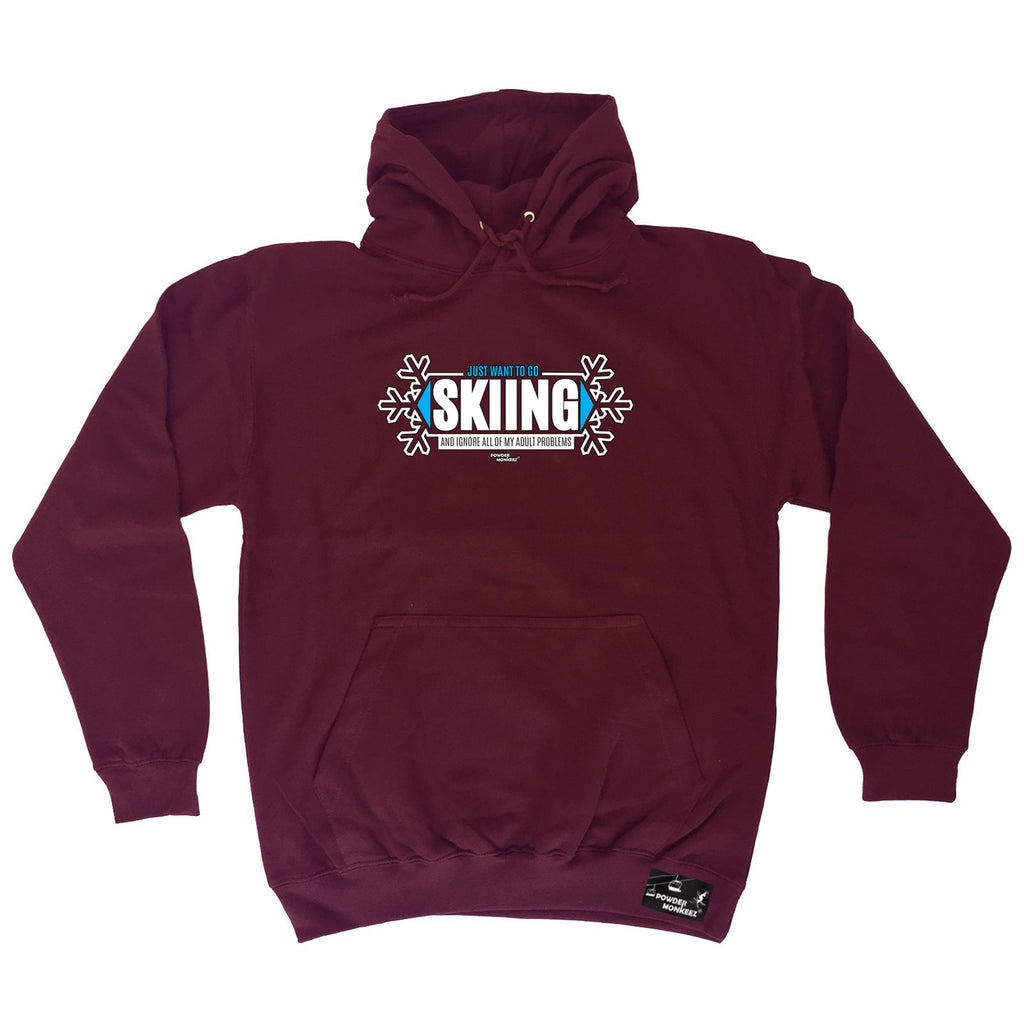Pm Just Want To Go Skiing Adult Problem - Funny Hoodies Hoodie