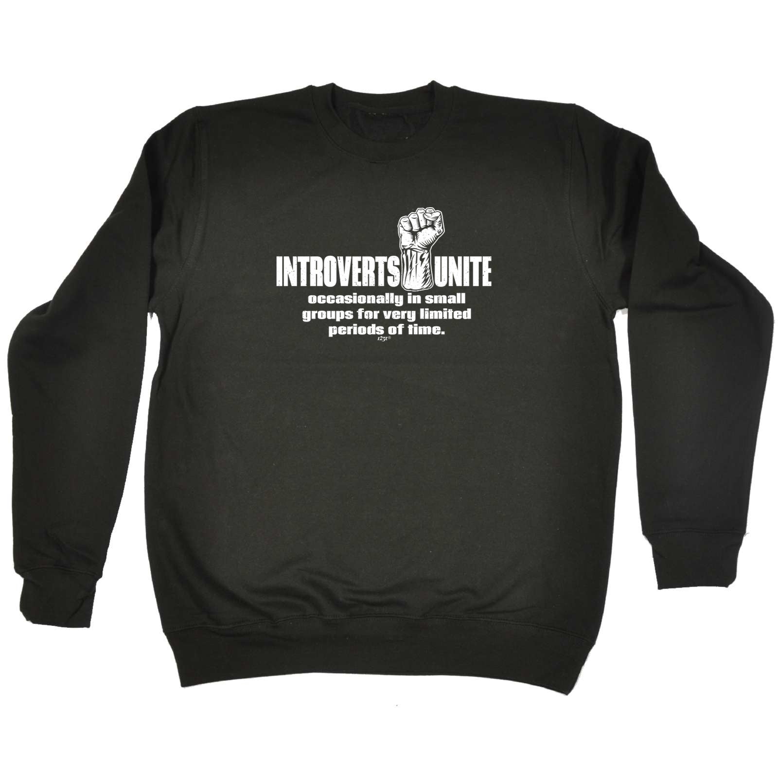 Introverts Unite Occasionally - Funny Sweatshirt