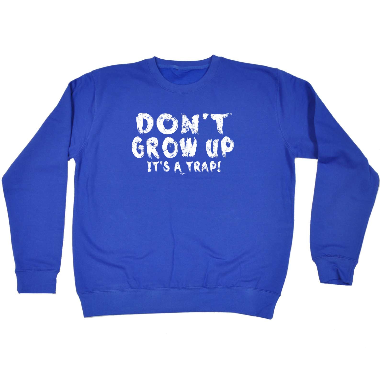 Dont Grow Up Its A Trap - Funny Sweatshirt