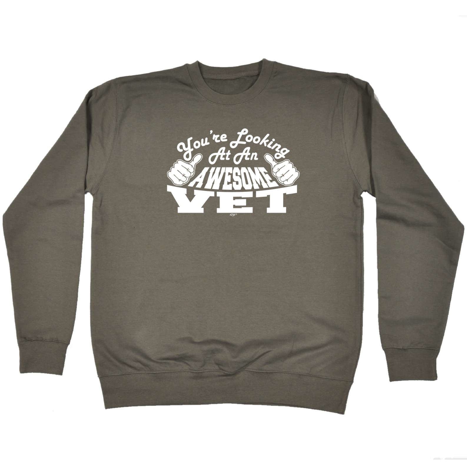 Youre Looking At An Awesome Vet - Funny Sweatshirt