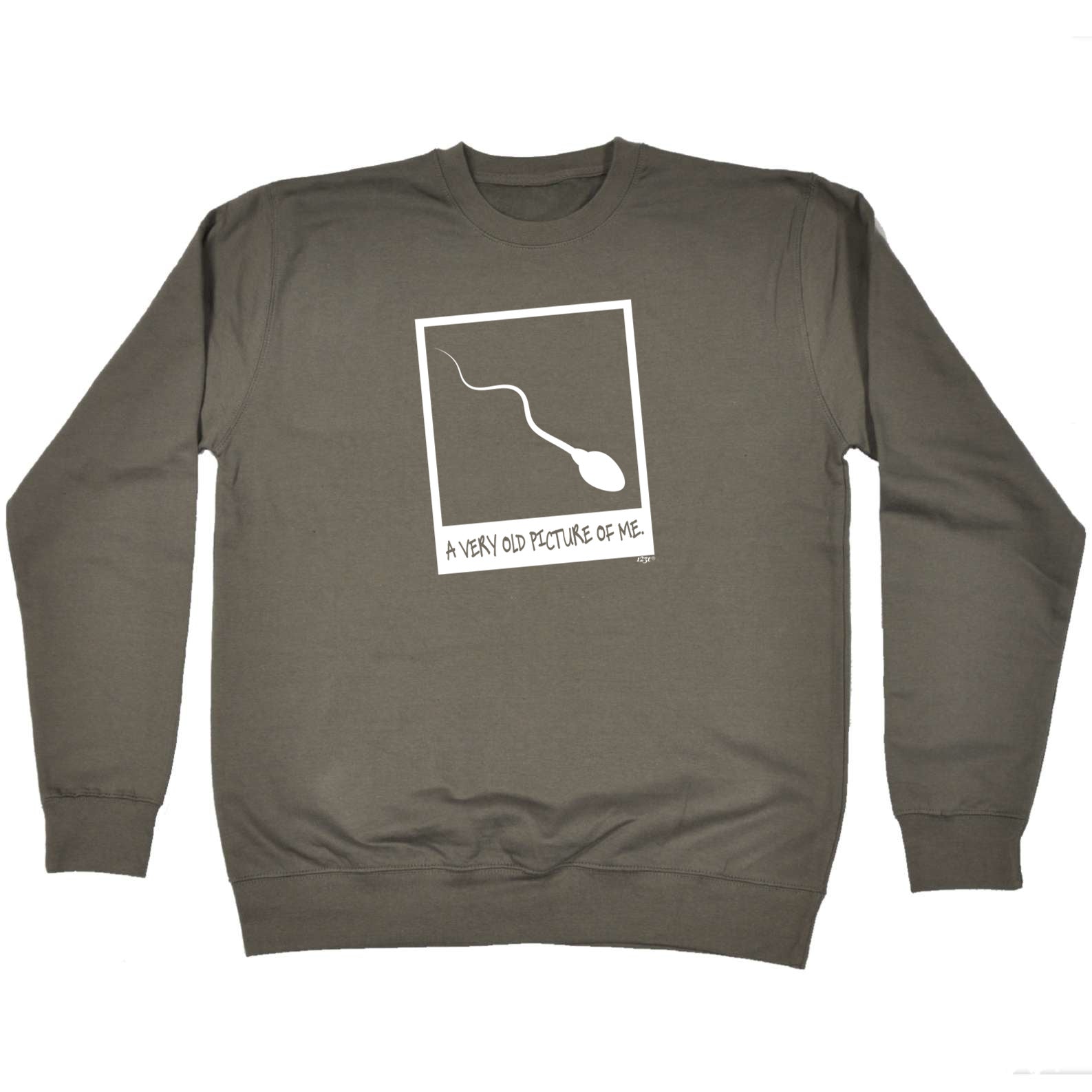 Old Picture Of Me - Funny Sweatshirt