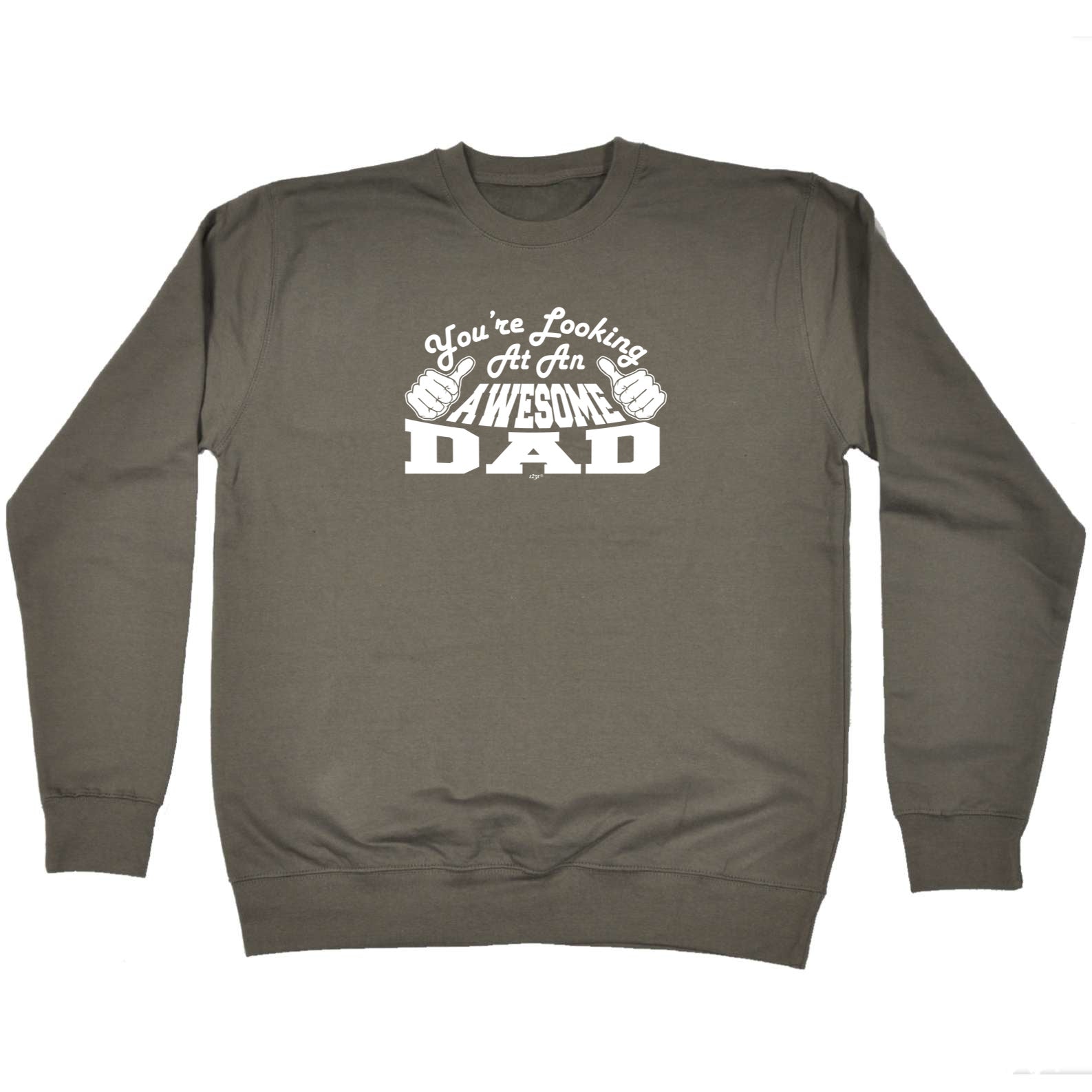 Youre Looking At An Awesome Dad - Funny Sweatshirt