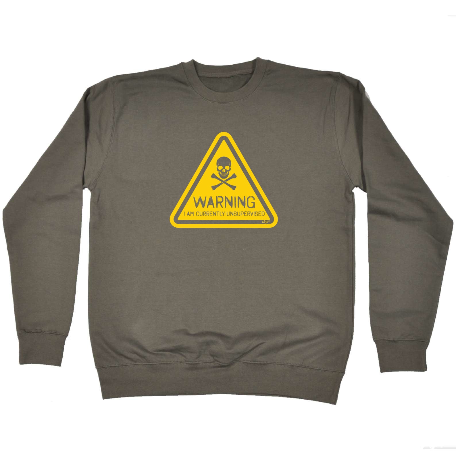 Warning Currently Unsupervised - Funny Sweatshirt