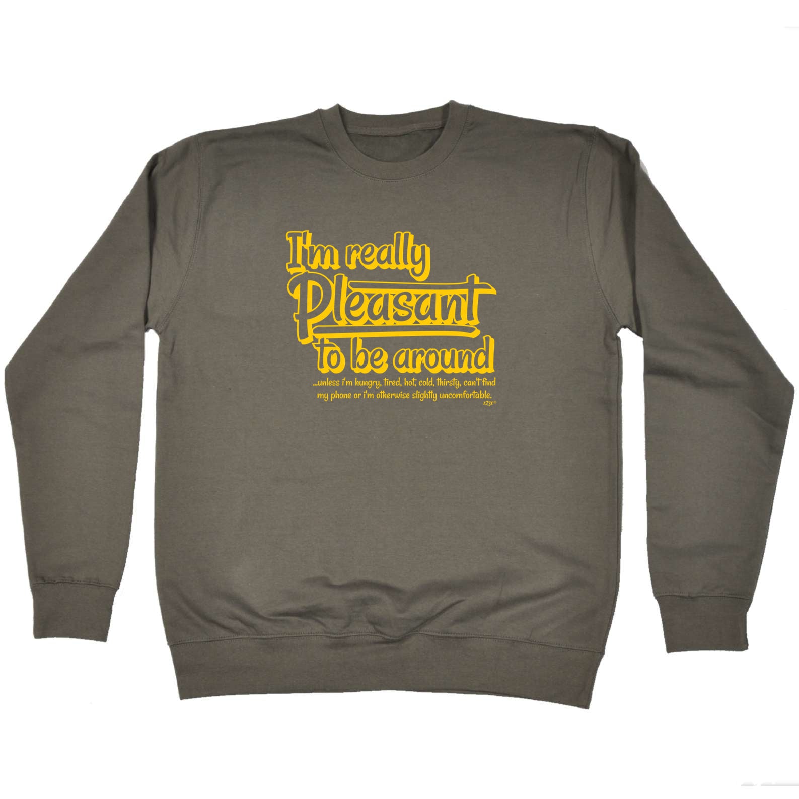 Im Really Pleasant To Be Around - Funny Sweatshirt