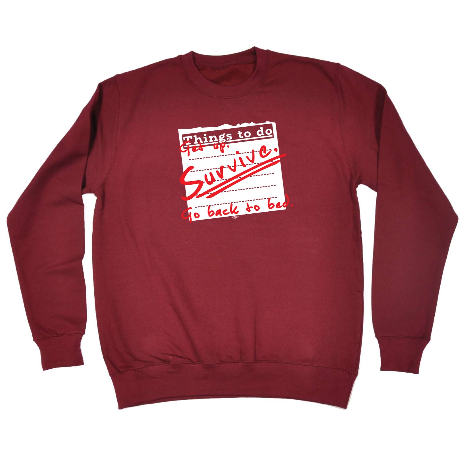 Thing To Do Get Up Survive Go Back To Bed - Funny Sweatshirt