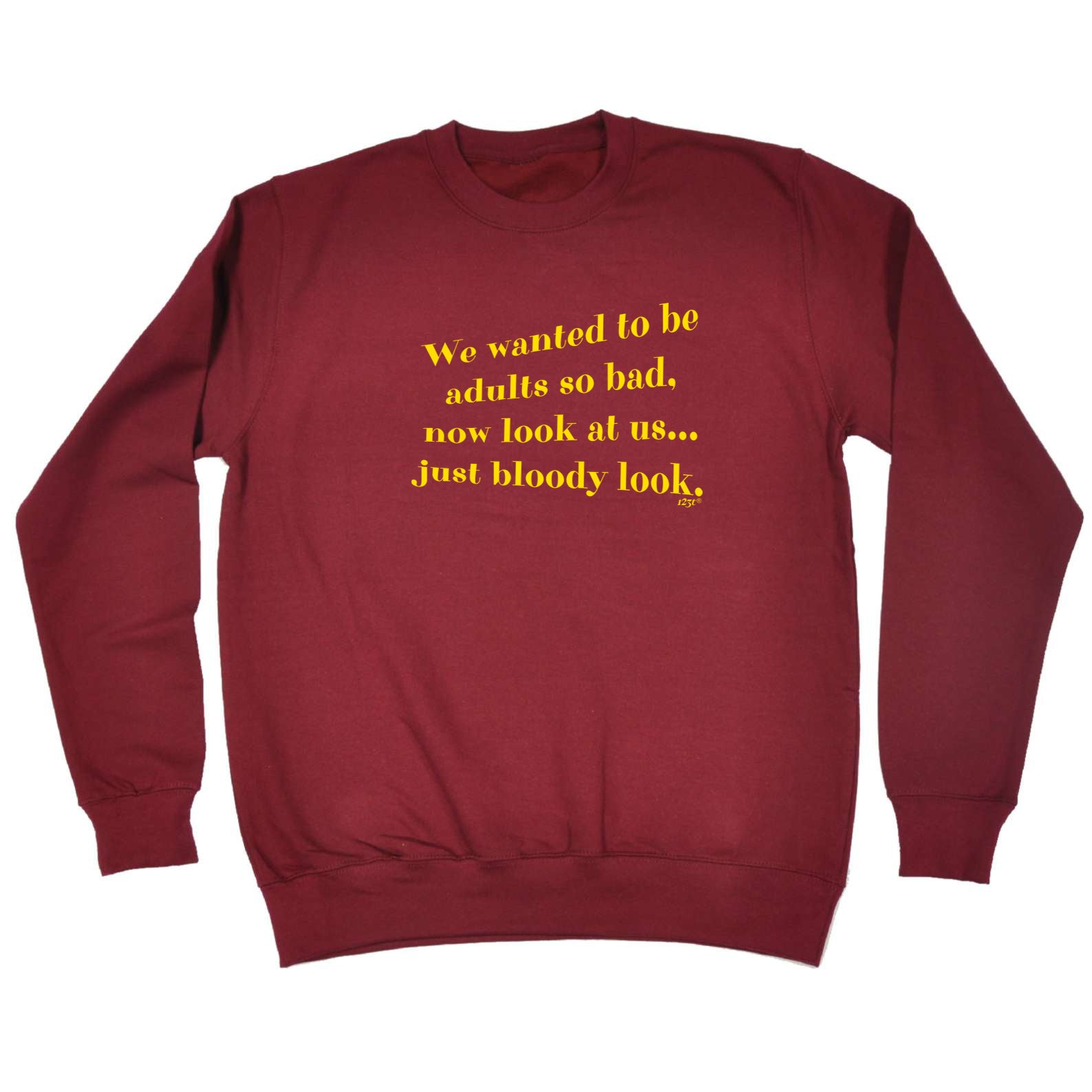We Wanted To Be Adults So Bad - Funny Sweatshirt