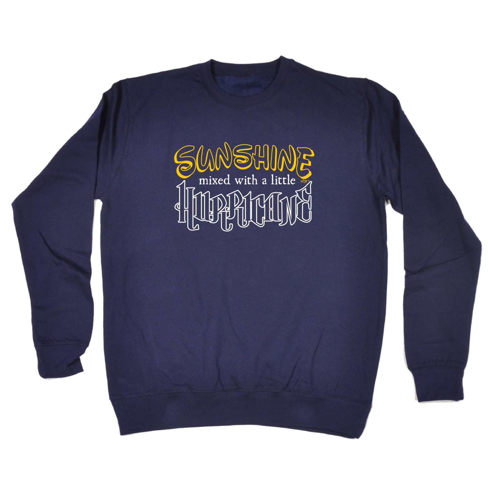 Sunshine Mixed With A Little Hurricane - Funny Sweatshirt