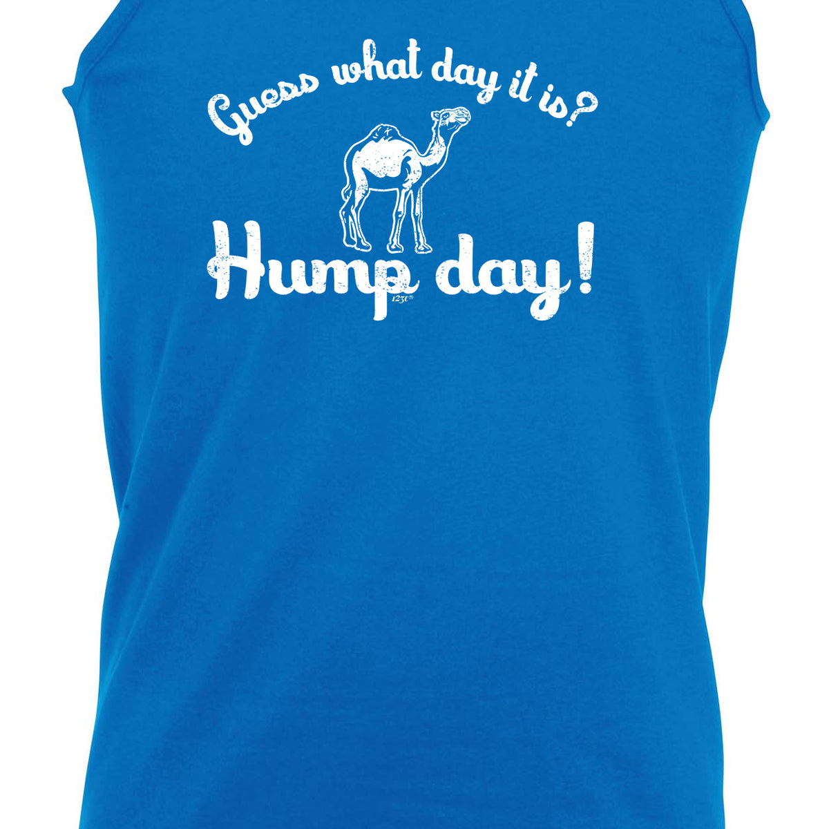 Guess What Day It Is Hump Day - Funny Vest Singlet Unisex Tank Top