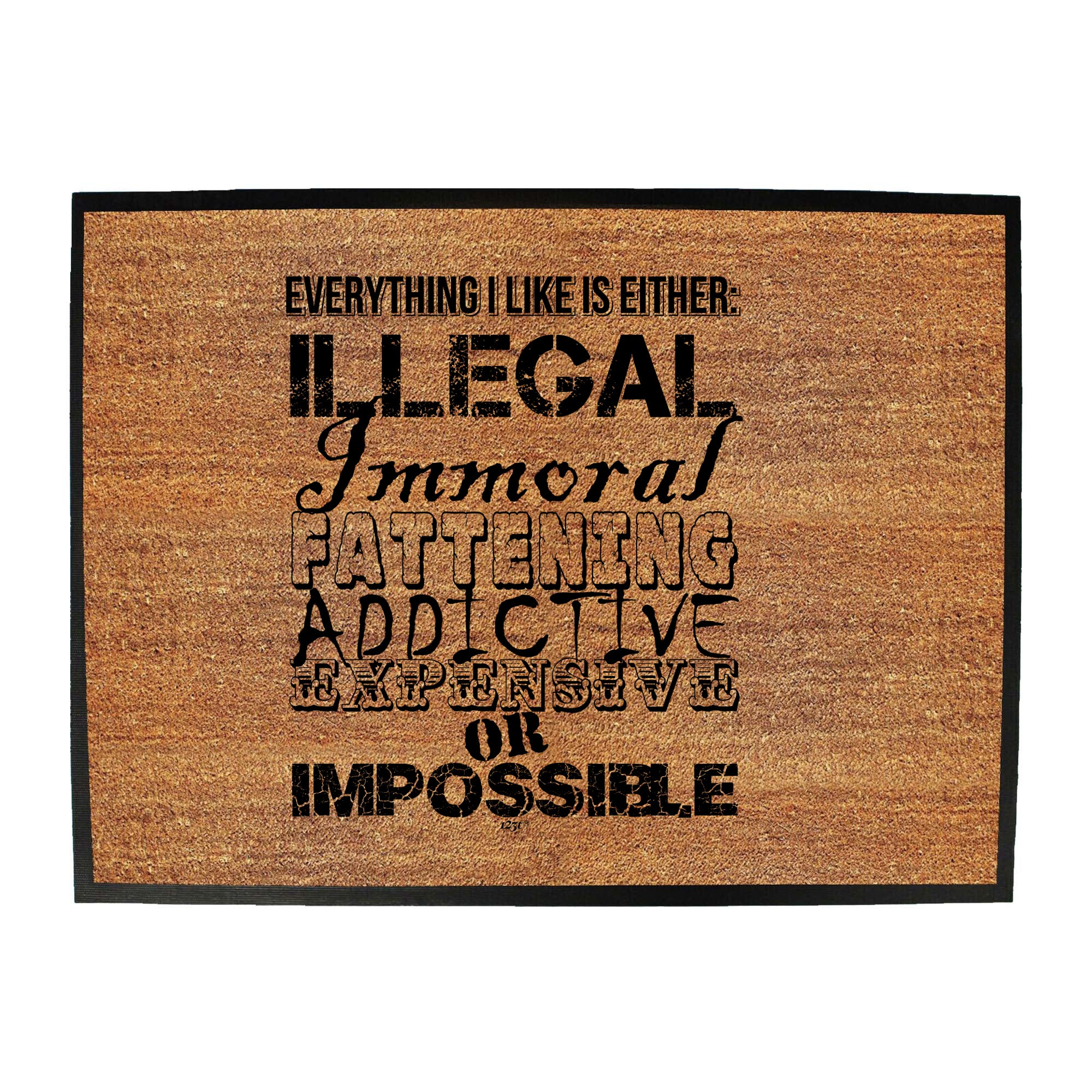 Everything Like Is Either Immoral Or Impossible - Funny Novelty Doormat