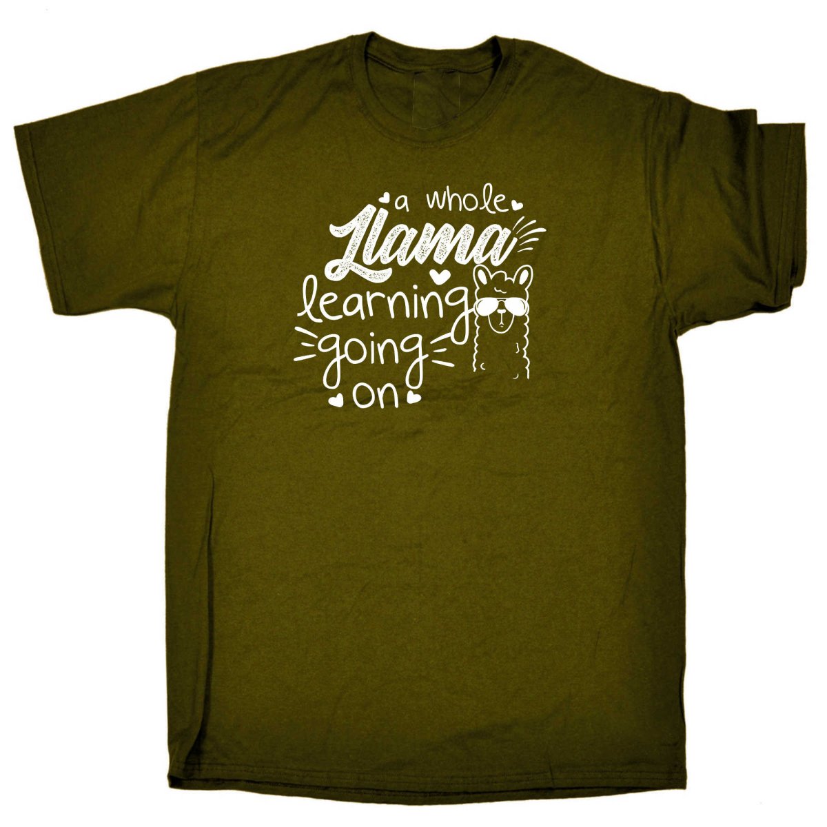 A Whole Llama Learning Going On Teacher - Mens Funny T-Shirt Tshirts - 123t Australia | Funny T-Shirts Mugs Novelty Gifts