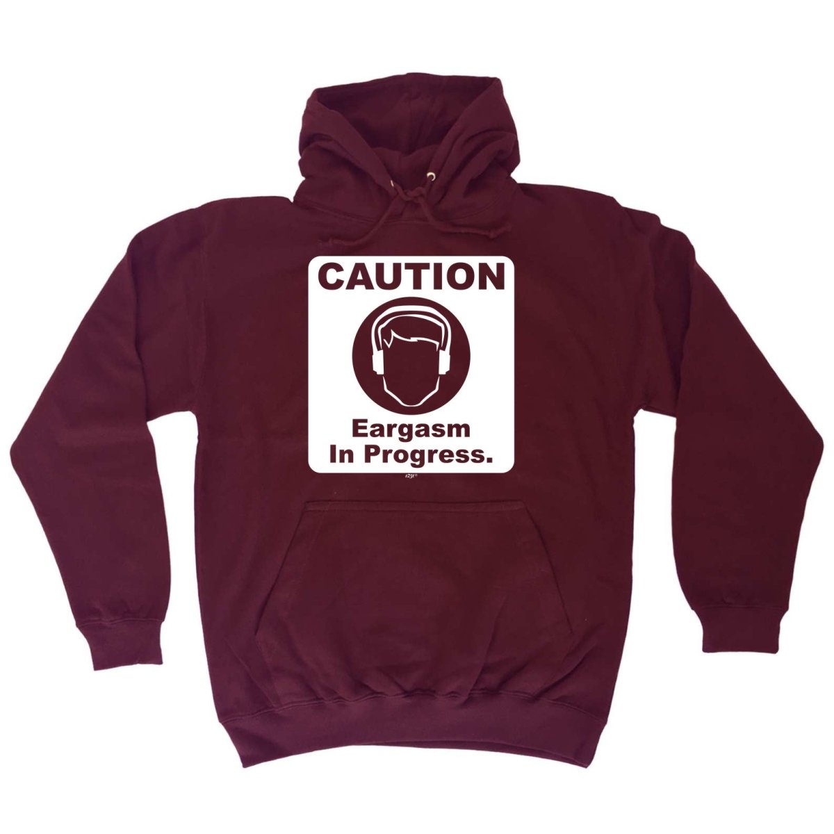 Caution Eargasm In Progress - Funny Novelty Hoodies Hoodie - 123t Australia | Funny T-Shirts Mugs Novelty Gifts