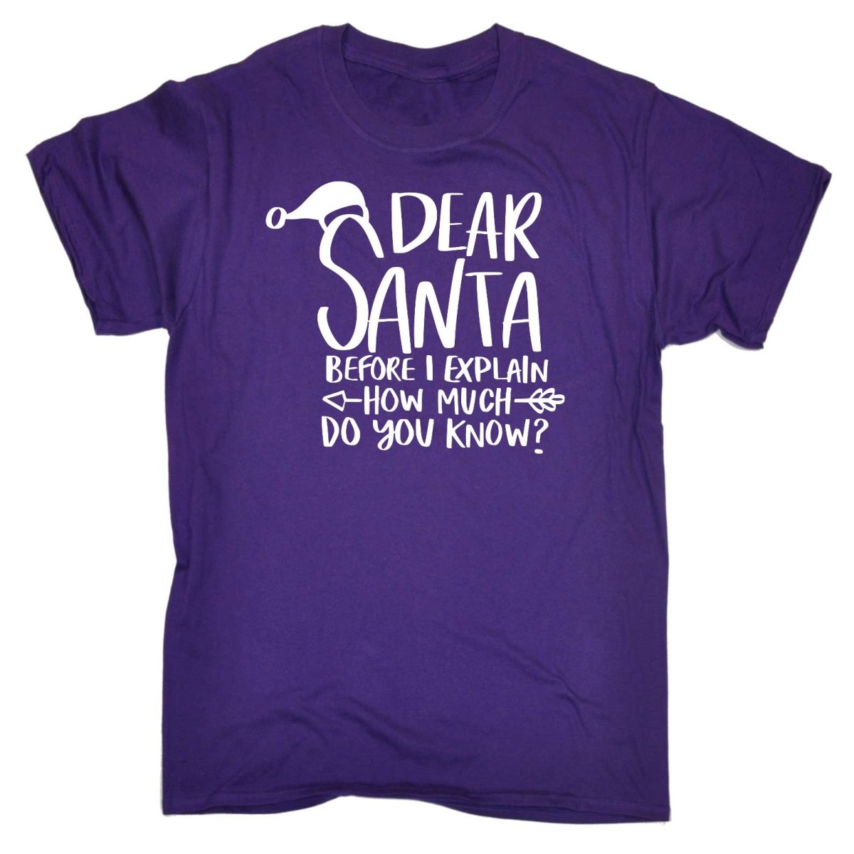 Chrismas Dearsanta Before I Explain - Mens Funny T-Shirt Tshirts - 123t Australia | Funny T-Shirts Mugs Novelty Gifts