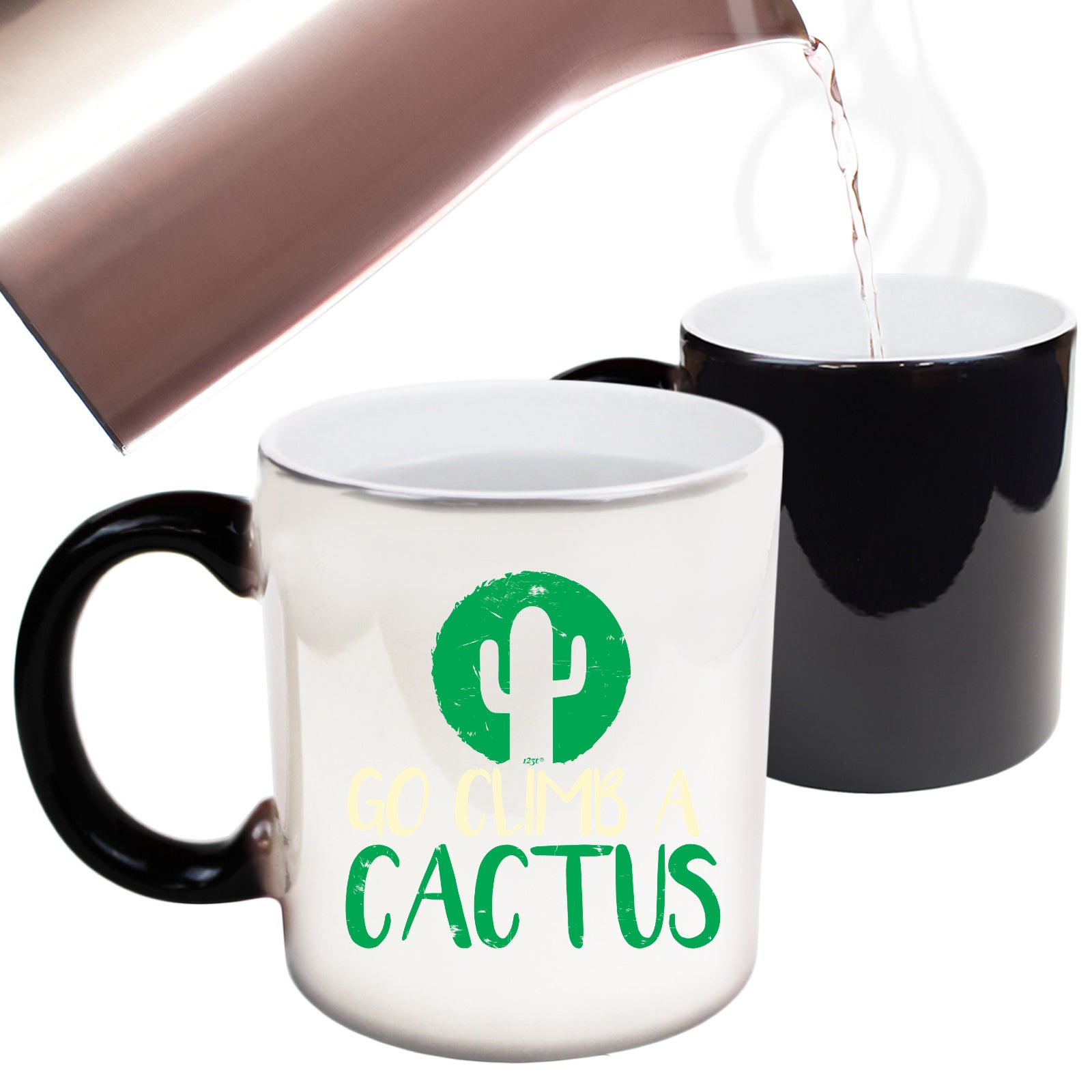 Go Climb A Cactus - Funny Colour Changing Mug Cup