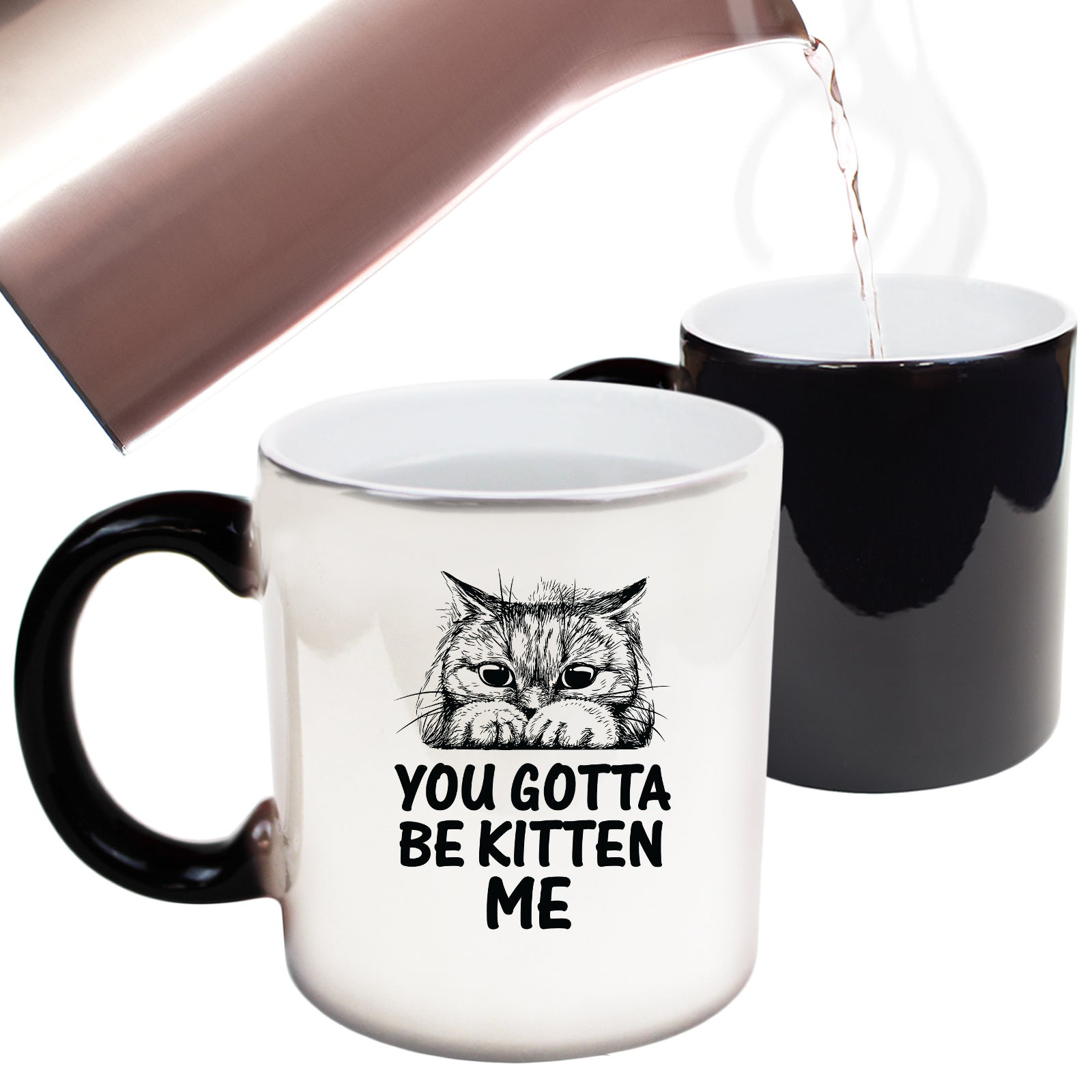 You Gotta Be Kitten Me Cat Kitten Pussy Cats - Funny Colour Changing Mug