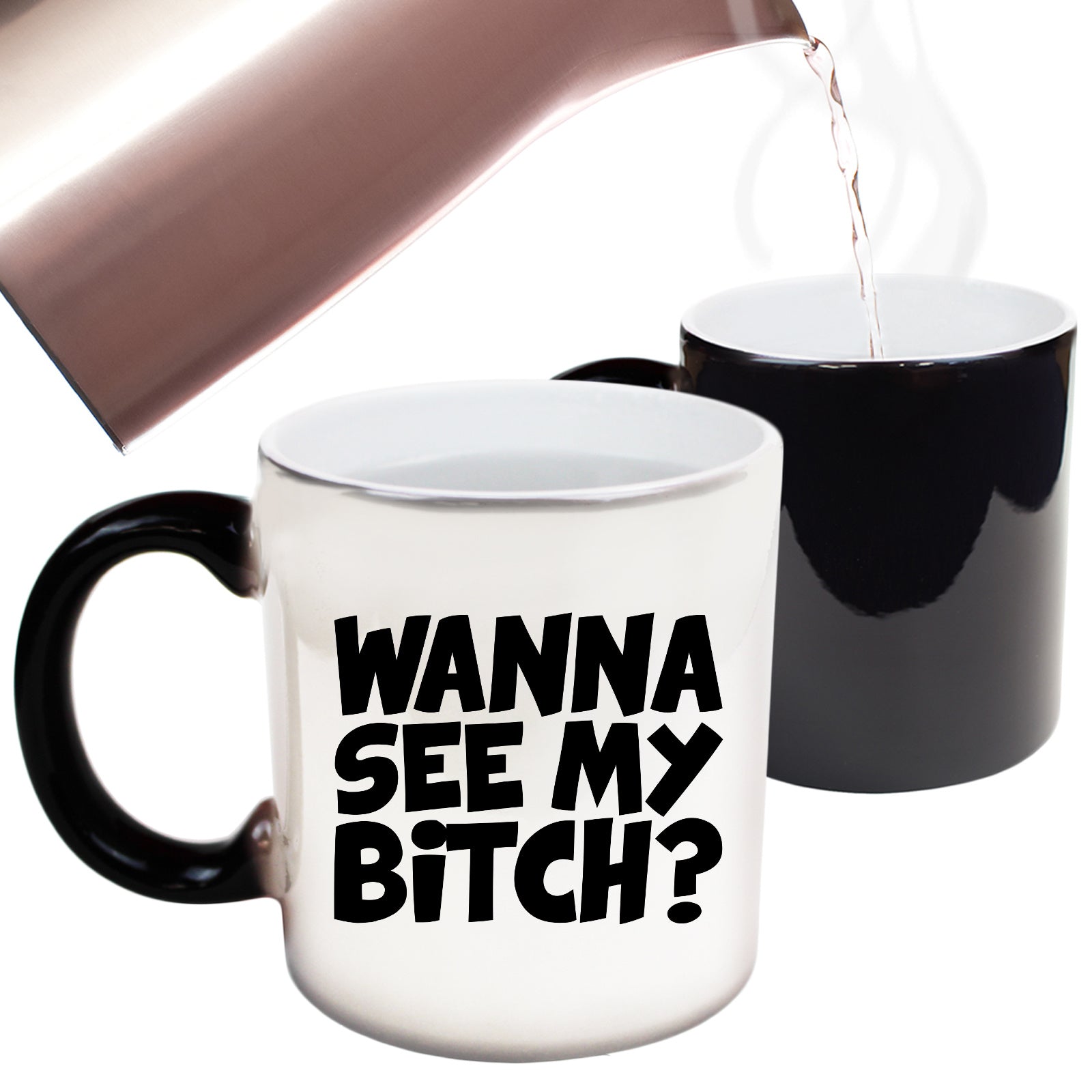 Wanna See My B!Tch - Funny Colour Changing Mug