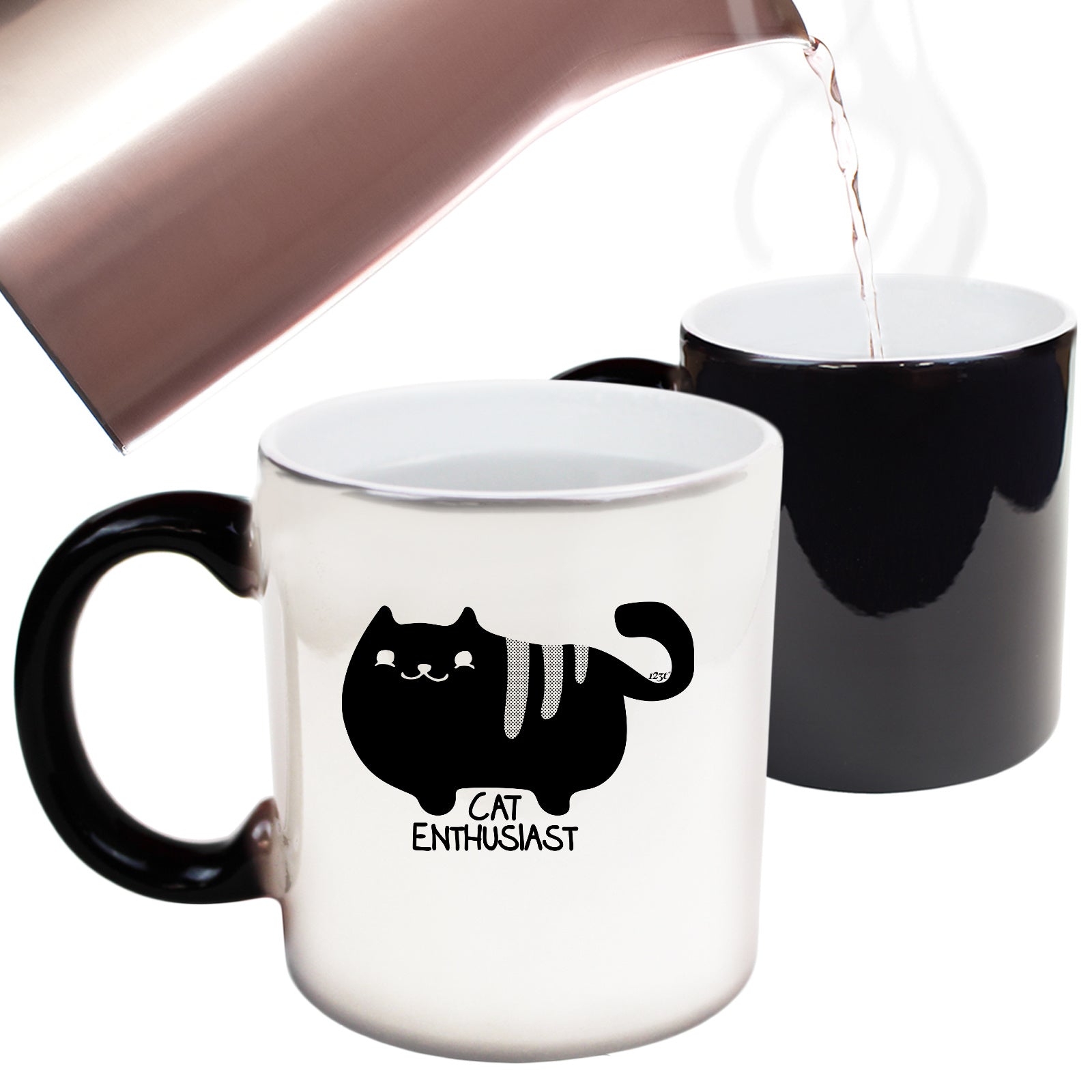 Cat Enthusiast - Funny Colour Changing Mug Cup