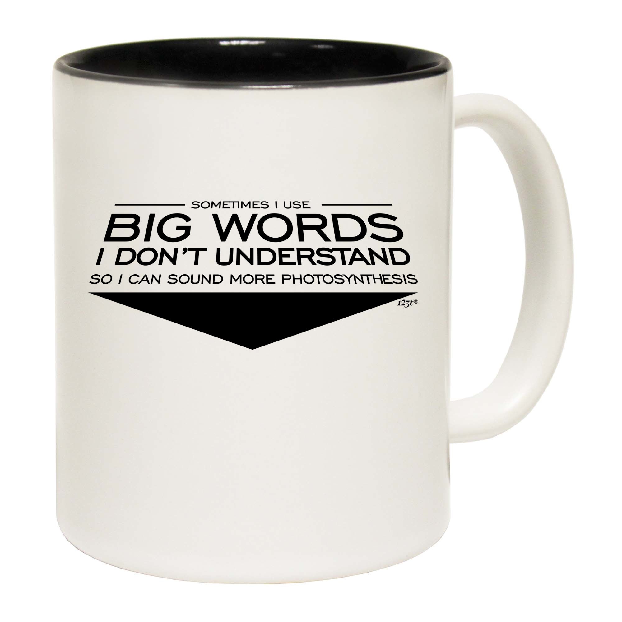Sometimes Use Big Words Dont Understand - Funny Coffee Mug
