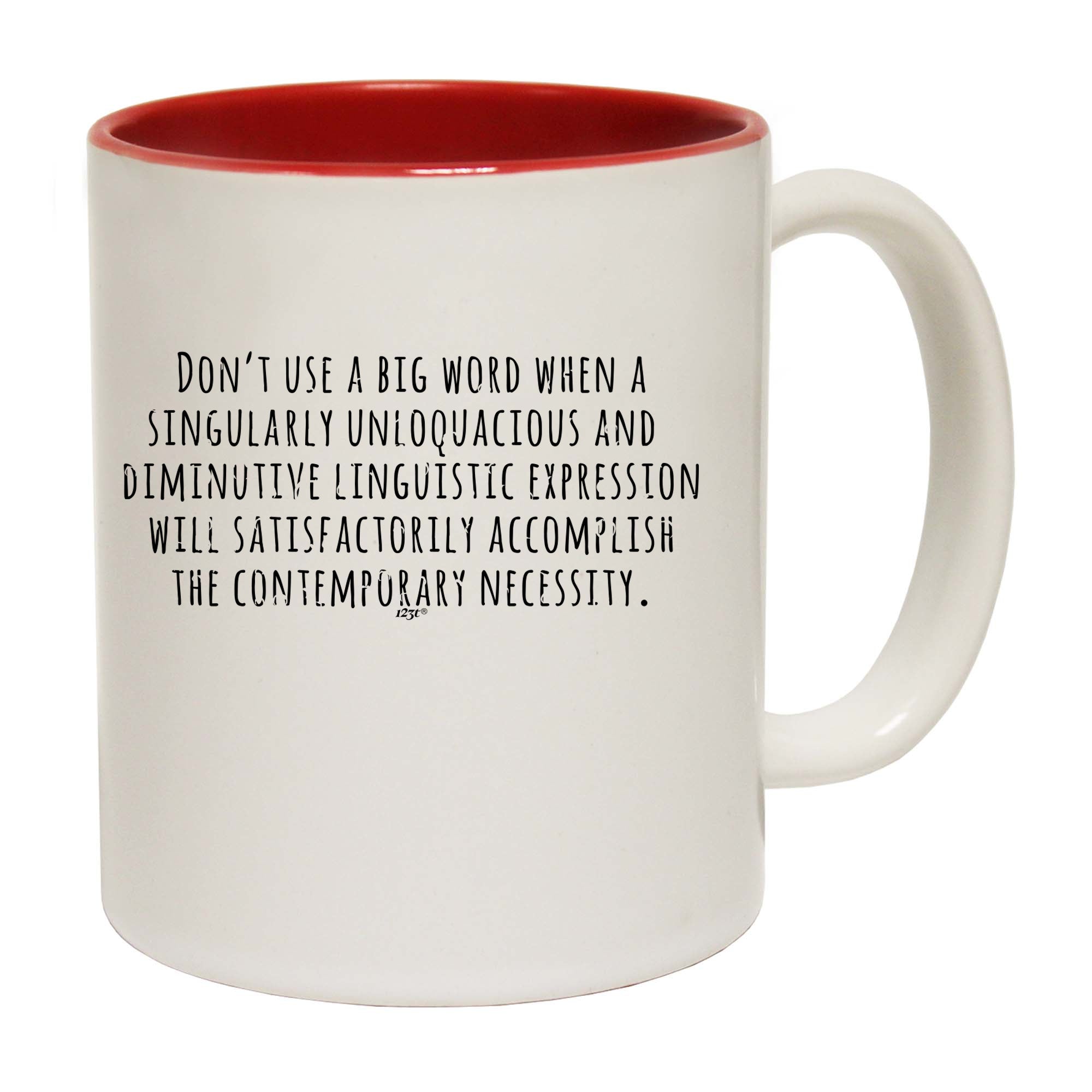 Dont Use Big Words - Funny Coffee Mug Cup
