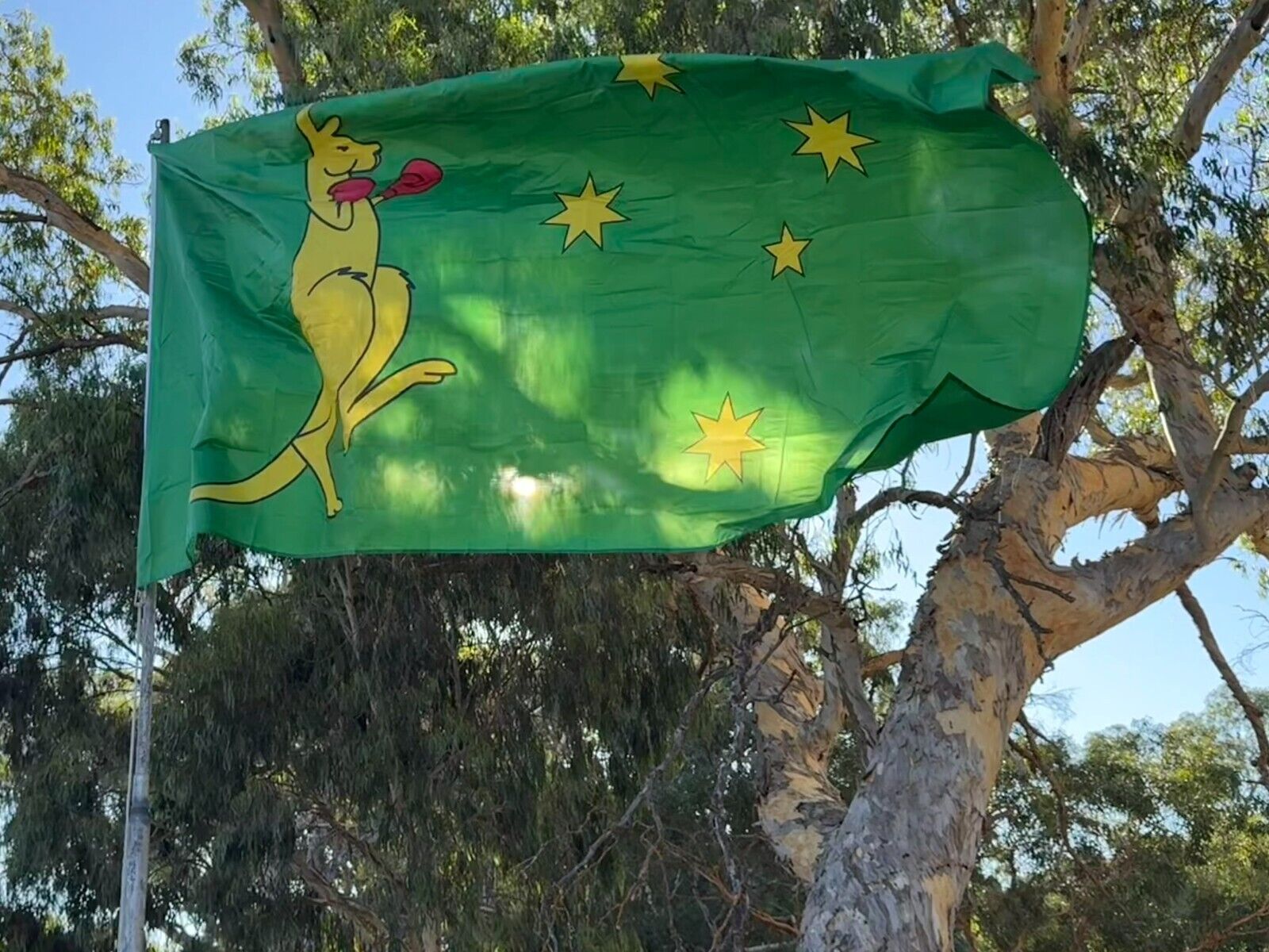 LARGE KANGAROO BOXING Australia Flag Flags Australian Ozzie Outdoor 5ft x 10ft
