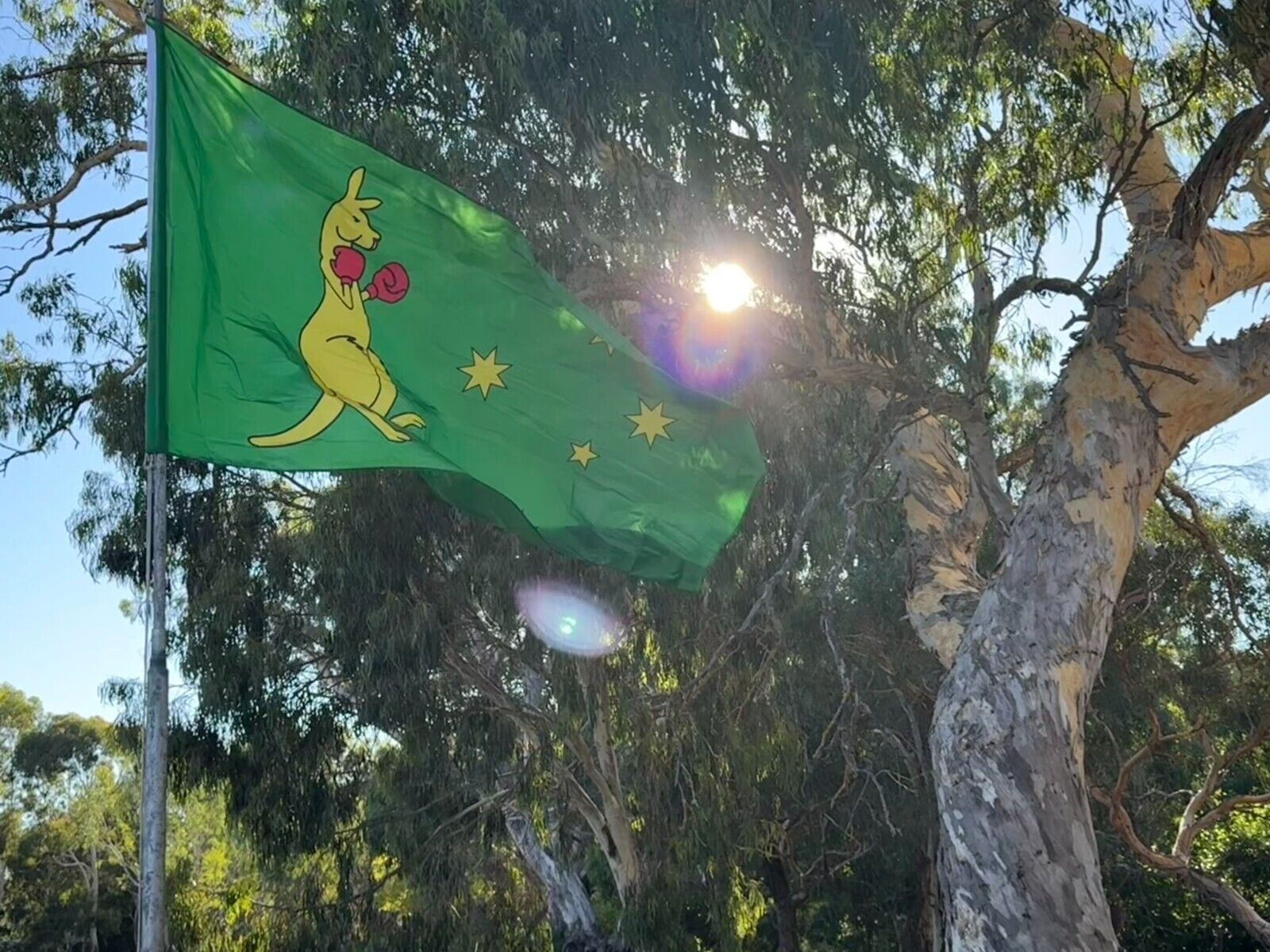 LARGE KANGAROO BOXING Australia Flag Flags Australian Ozzie Outdoor 5ft x 10ft