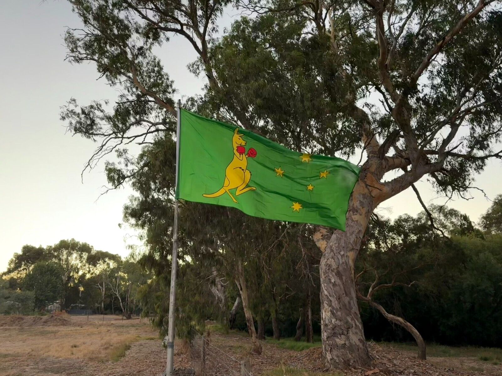 LARGE KANGAROO BOXING Australia Flag Flags Australian Ozzie Outdoor 5ft x 10ft