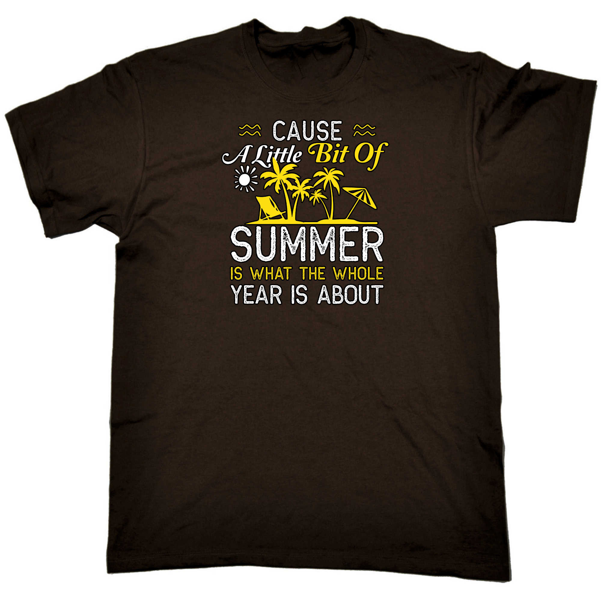 Little Bit Of Summer Is What The Whole Year Is About - Mens 123t Funny T-Shirt Tshirts