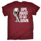 Sips About To Go Down Wind Drinking Alcohol - Mens Funny T-Shirt Tshirts