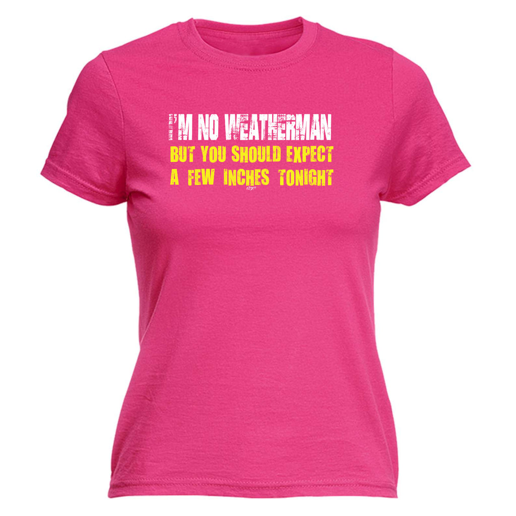Im No Weatherman - Funny Womens T-Shirt Tshirt