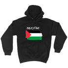 Palestine - Funny Hoodies Hoodie