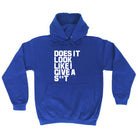 Does It Look Like I Give - Funny Hoodies Hoodie