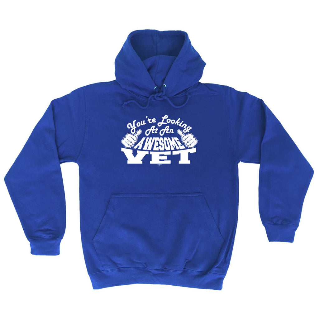 Youre Looking At An Awesome Vet - Funny Hoodies Hoodie