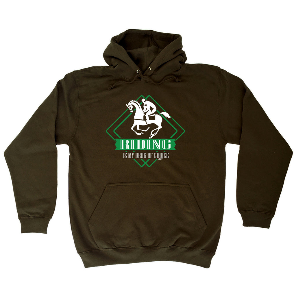 Riding Is My Choice Horse - Funny Hoodies Hoodie