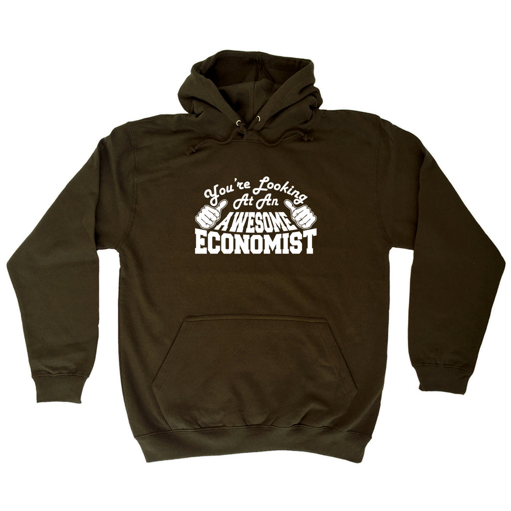 Youre Looking At An Awesome Economist - Funny Hoodies Hoodie
