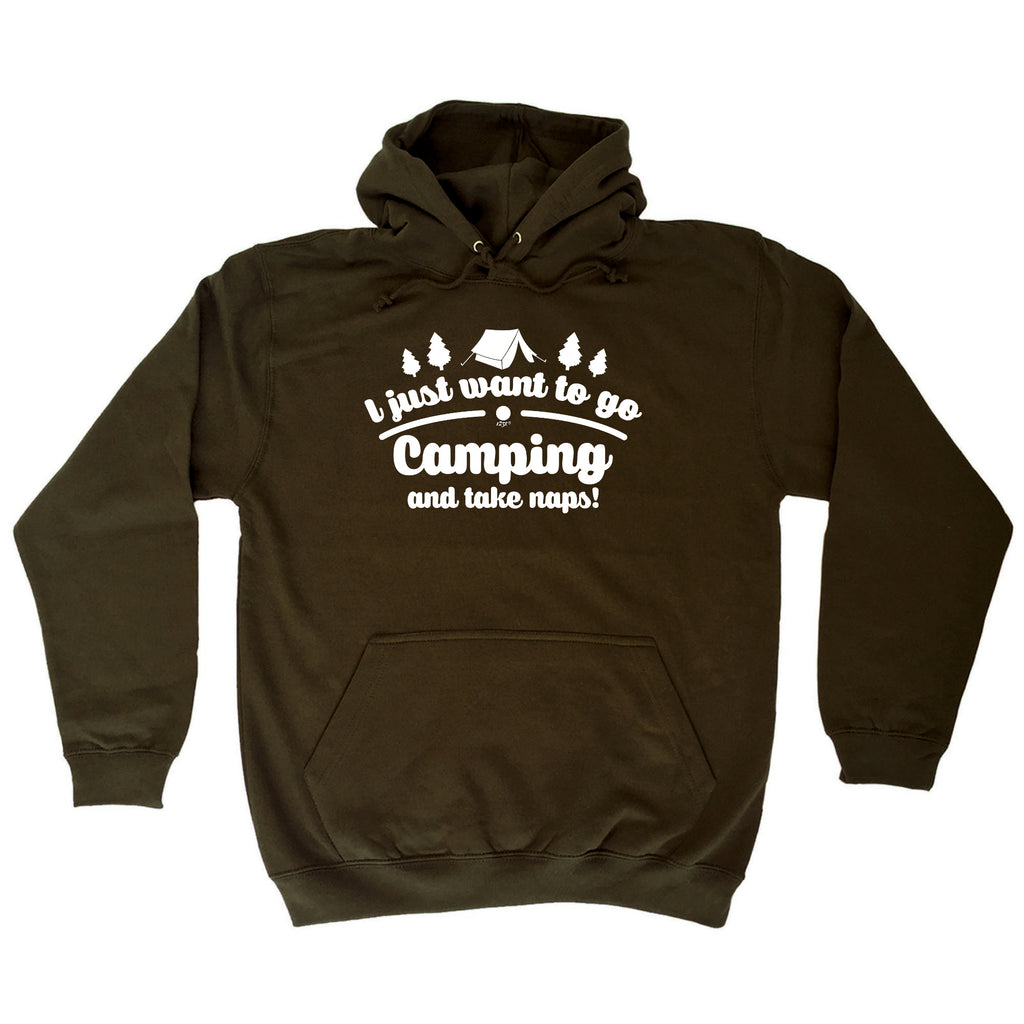 Just Want To Go Camping And Take Naps - Funny Hoodies Hoodie