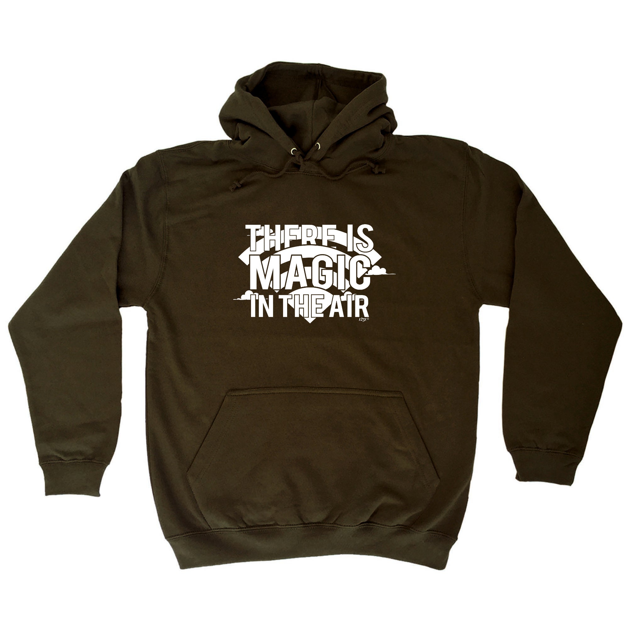 There Is Magic In The Air - Funny Hoodies Hoodie