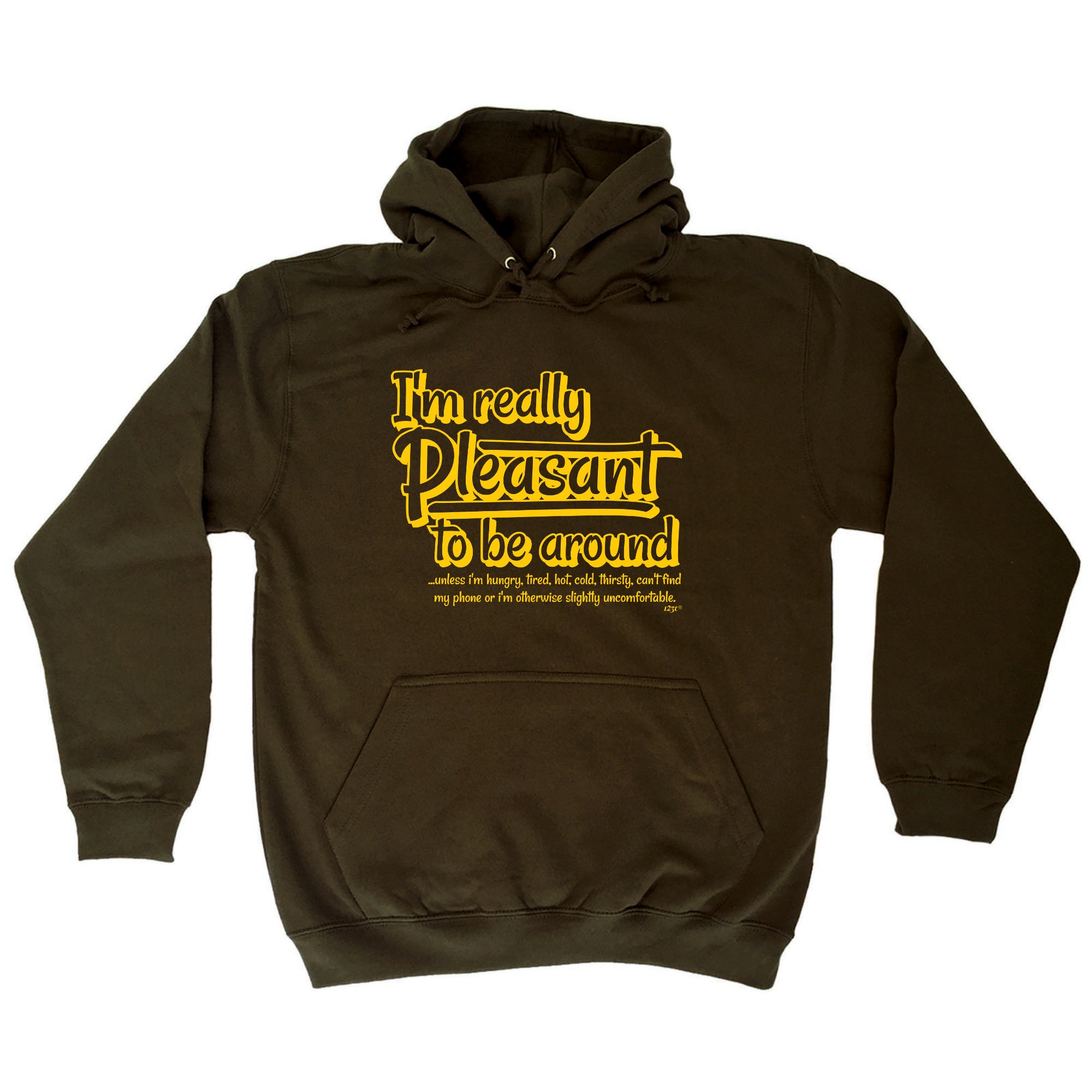 Im Really Pleasant To Be Around - Funny Hoodies Hoodie