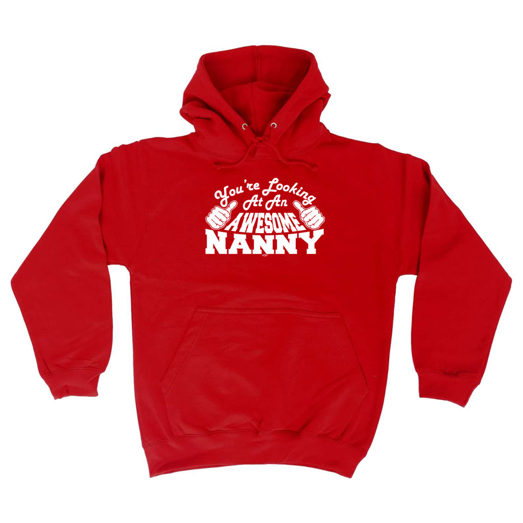 Youre Looking At An Awesome Nanny - Funny Hoodies Hoodie